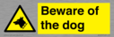 beware-of-the-dog-with-dog-warning-symbol~